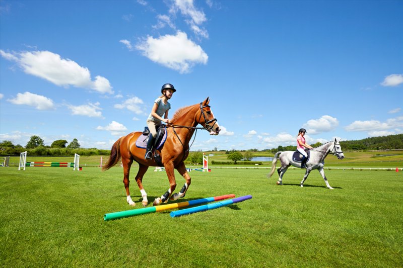 1af595603c74b1ec220c235b6f45aa13