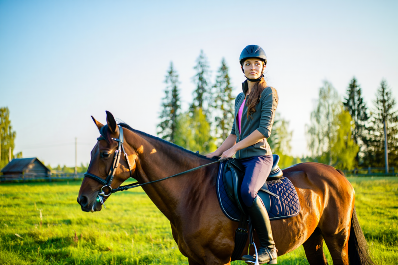 1d97df86c6cac238c7f9fa97849f5bbc