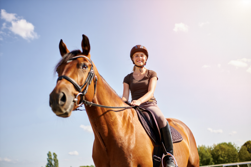 393835d6dc95bf5d9ba19e5a4e3cbc90