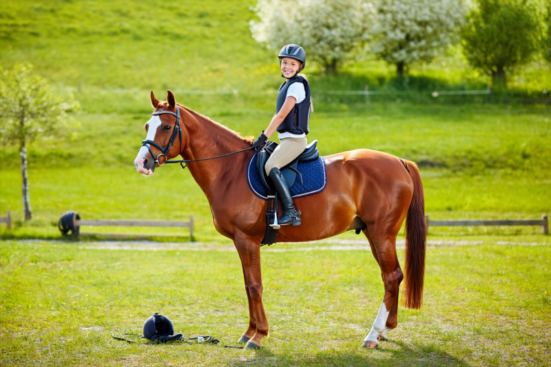 45520fe2844eff84a879f6052b889178