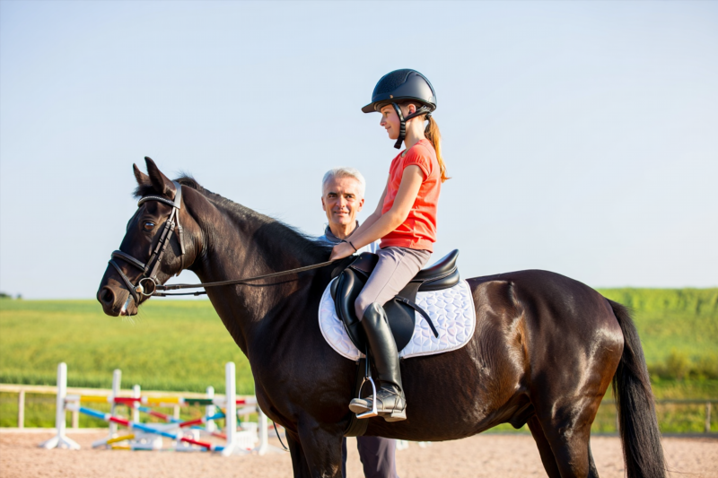 696e596938c955cd794fe2980c446b77