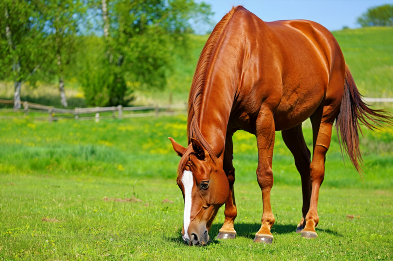 77e0a07ba2ff18c9d7ecd7914e536ecf