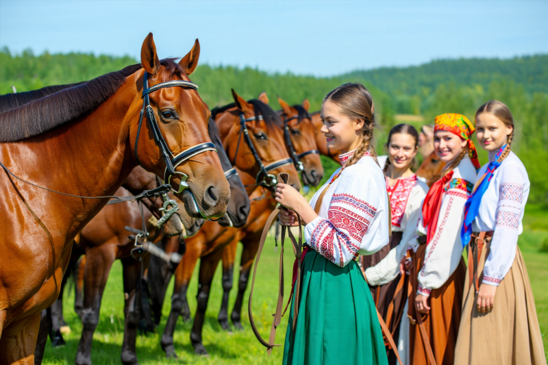 913e725f3954d8f3f0b3378c0e229c87