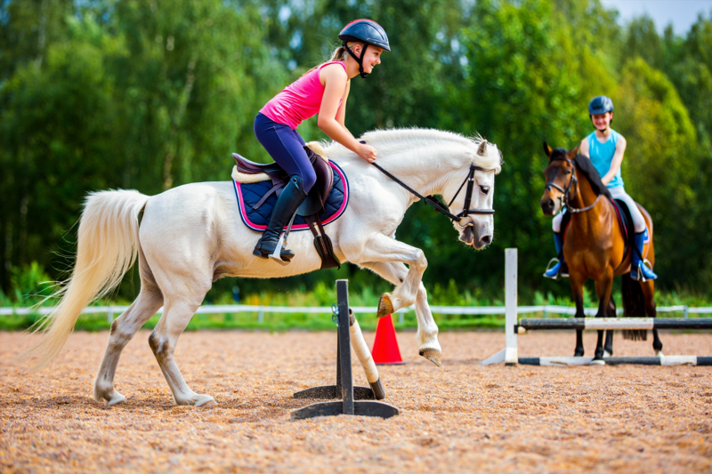 c6ee066b45fbb1aba59c110b9483a801