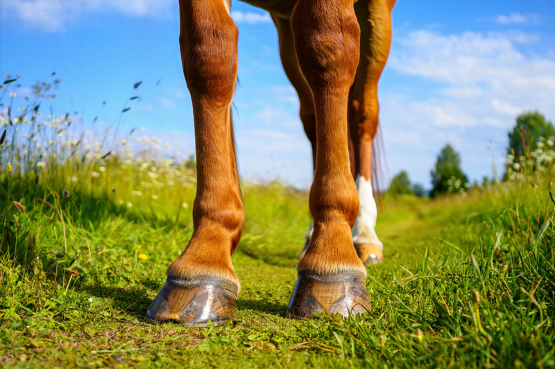 e7199b83684015d88fcb0ac48c93fc9a